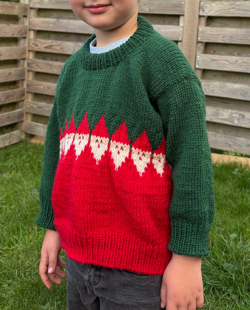 Easy Santa Sweater Junior