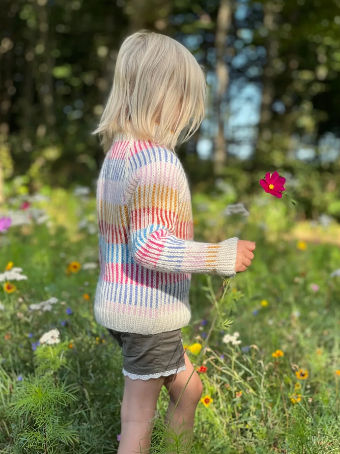 Sunset Sweater Woman + Junior