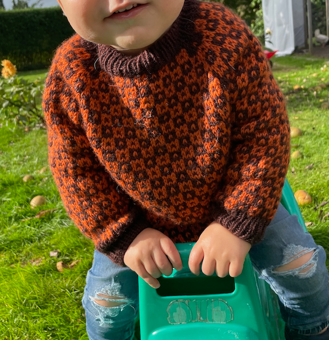 Easy Colour Sweater Junior