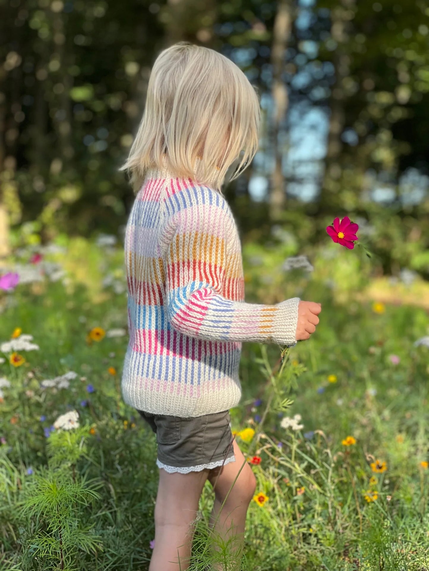 Sunset Sweater Woman + Junior