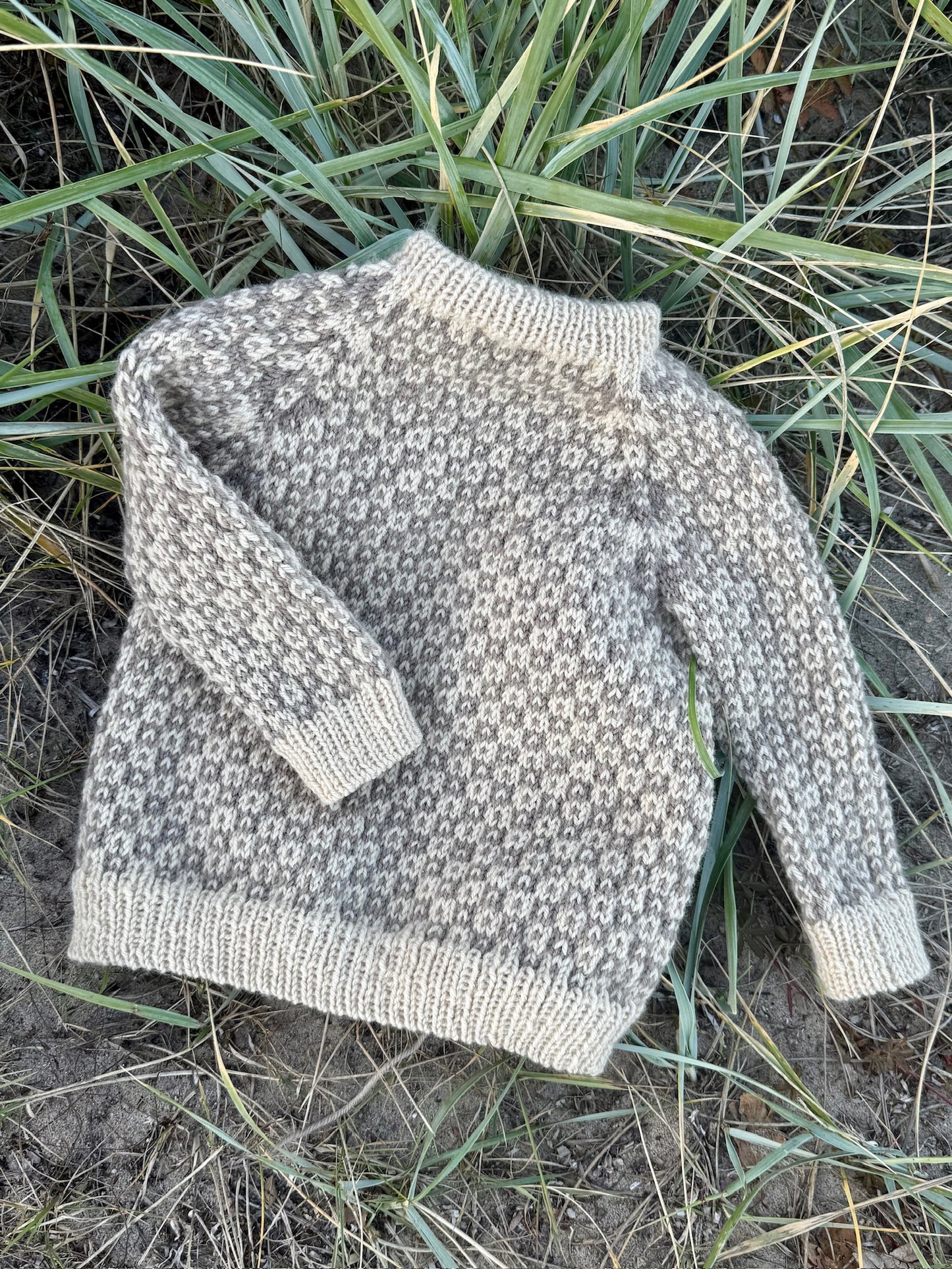 Easy Colour Sweater Junior