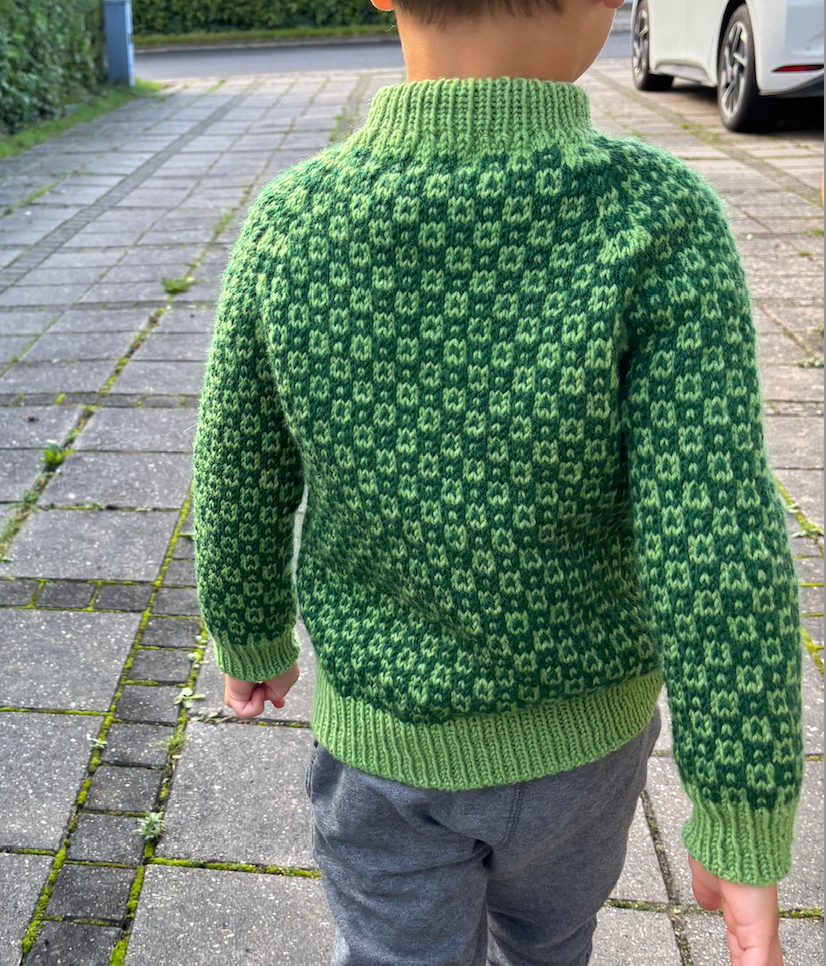 Easy Colour Sweater Junior