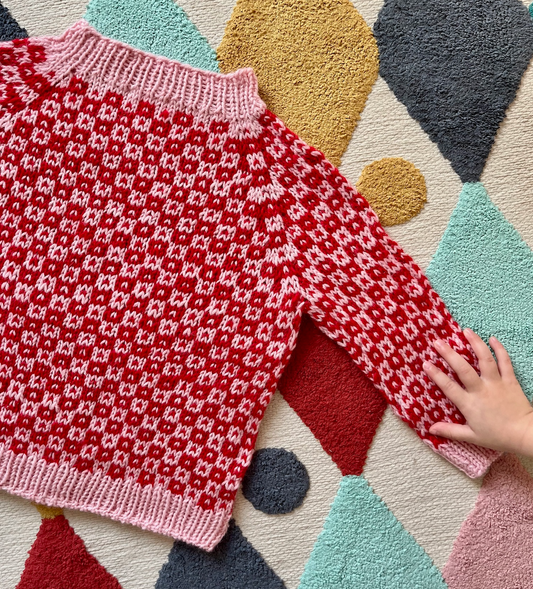 Easy Colour Sweater Junior