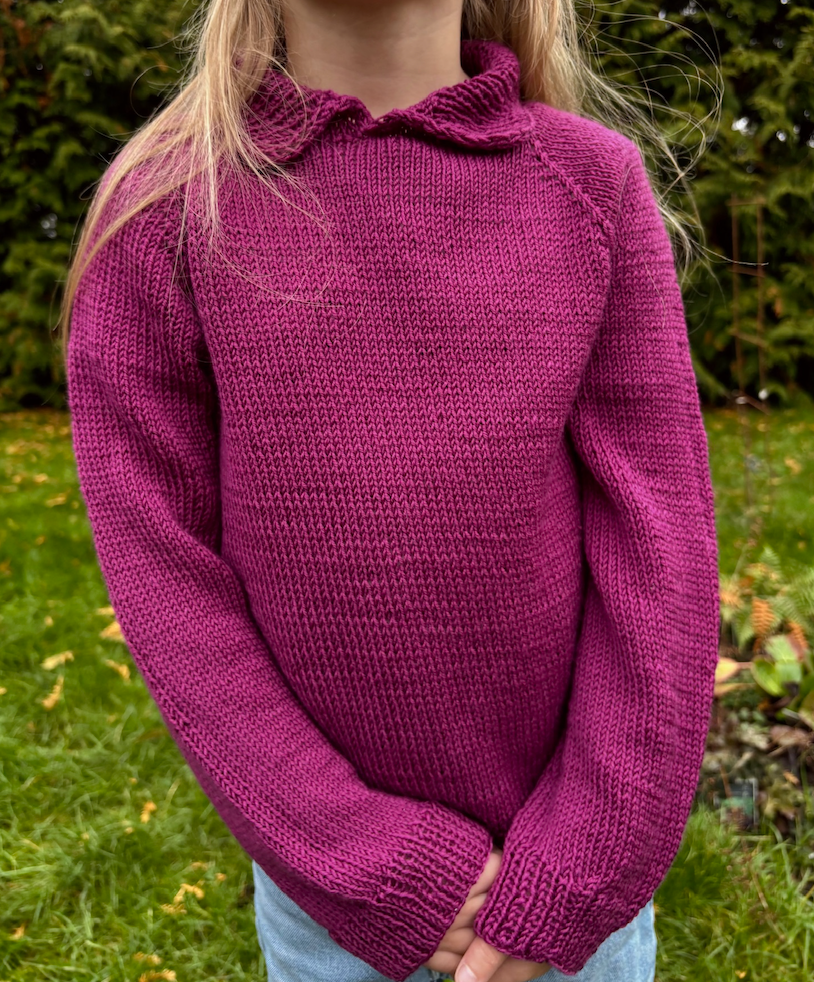 Easy Polo Sweater Junior