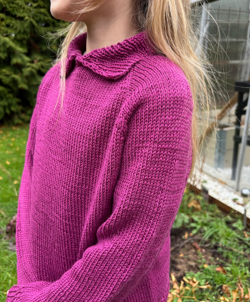 Easy Polo Sweater Junior