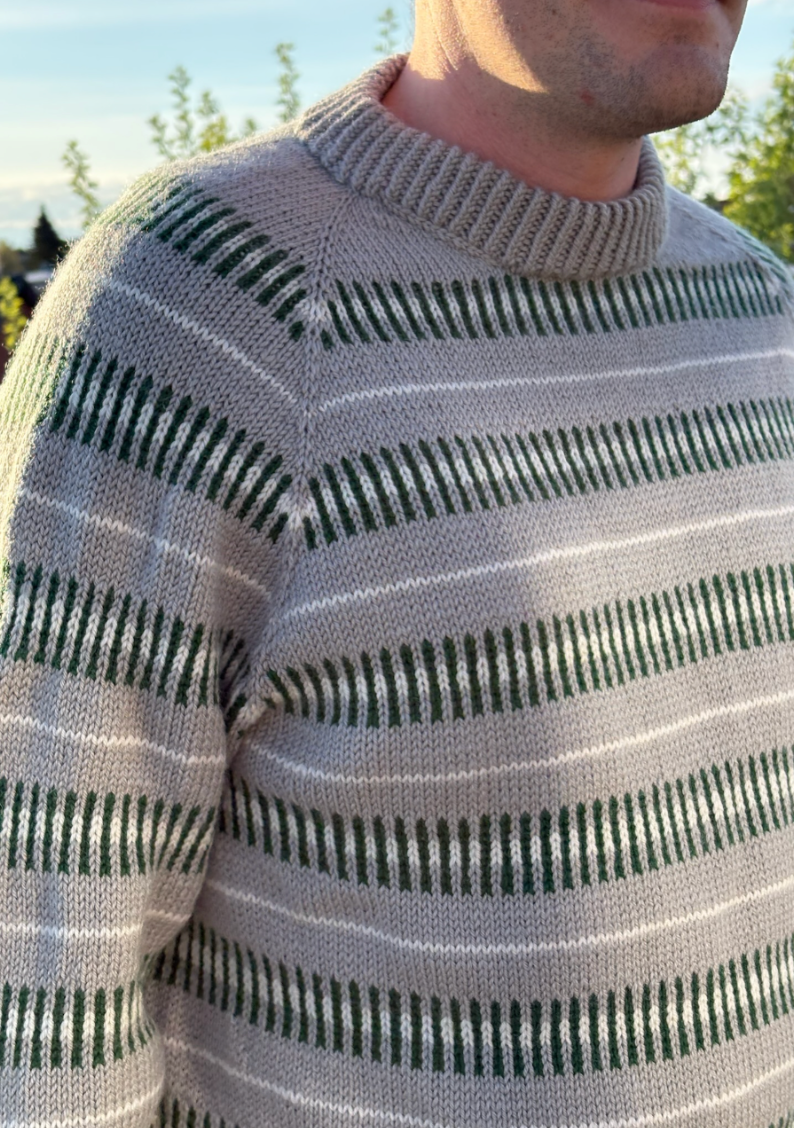 Easy Colour Stripe Sweater MAN