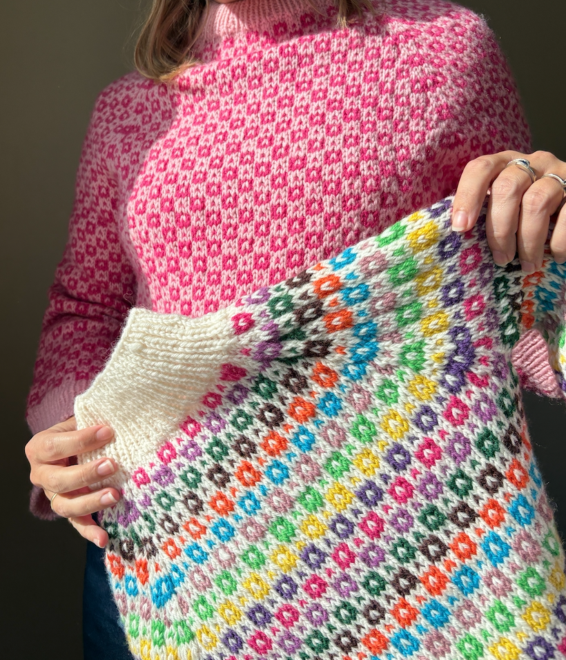 Easy Colour Sweater Junior