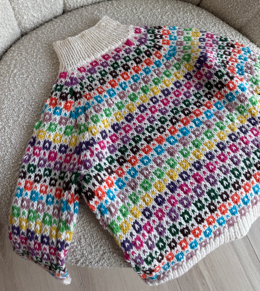 Easy Colour Sweater Junior