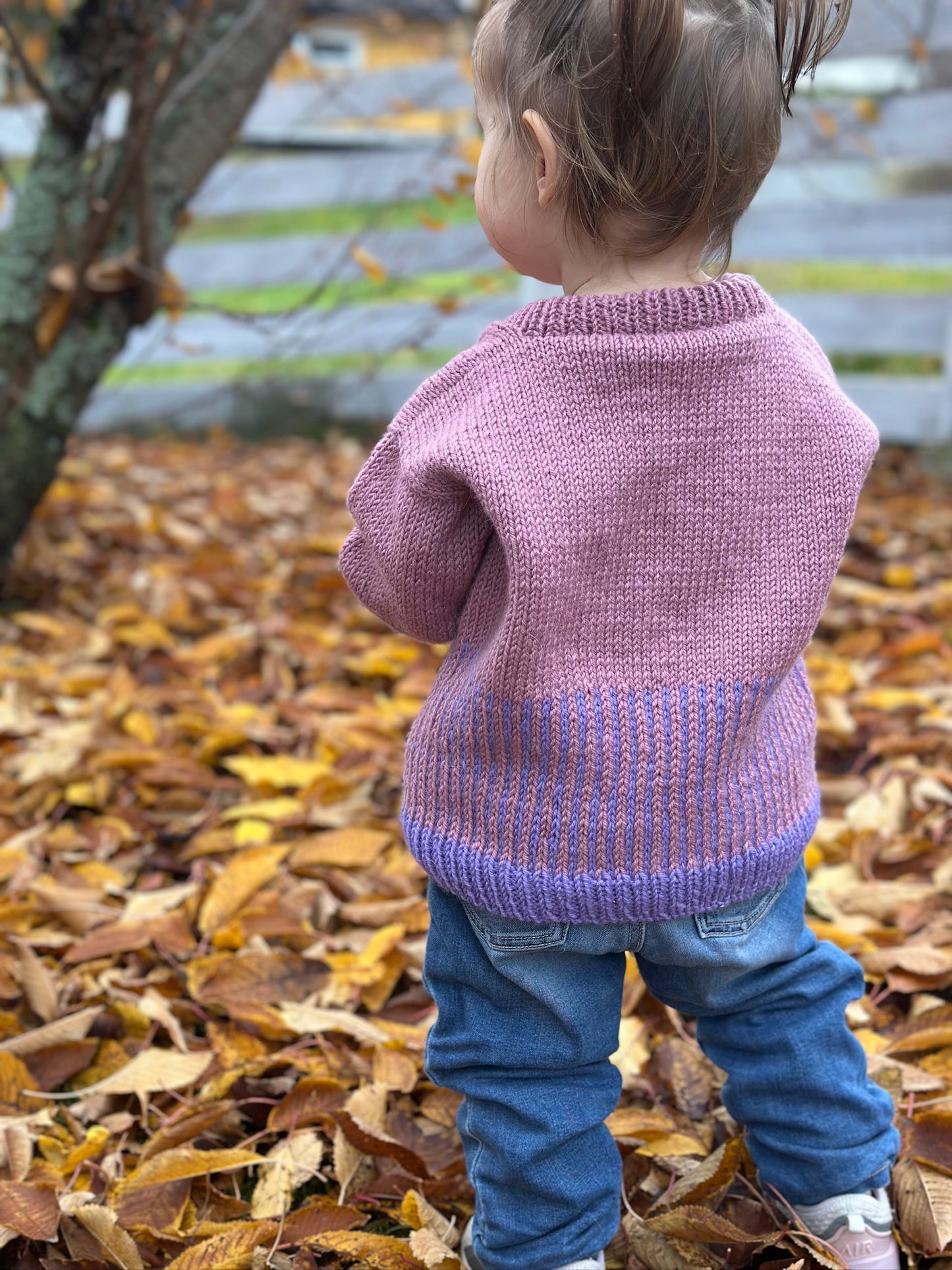 Easy Colour Mix Sweater Junior