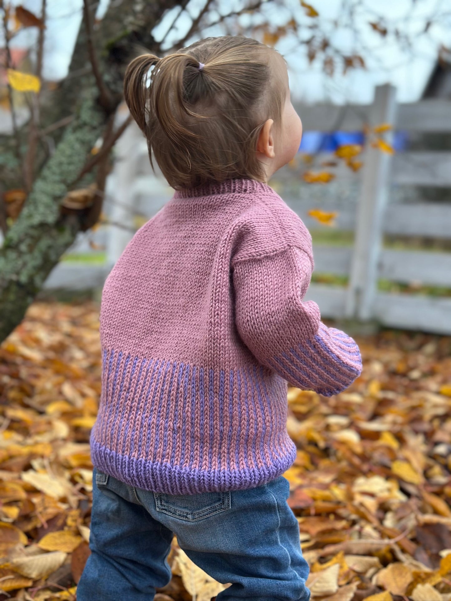 Easy Colour Mix Sweater Junior